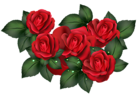 Transparent Red Roses PNG Clipart