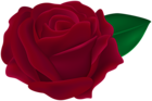 Transparent Rose Dark Red PNG Clipart
