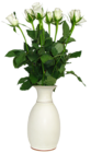Transparent White Rose in Vase Picture