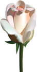 White Rose PNG Clip Art Image