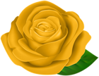 Yellow Beautiful Rose with Leaf PNG Clipart