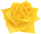 Yellow Color Rose Flower PNG Clipart