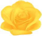 Yellow Flower Rose Transparent Image