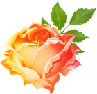 Yellow Orange Rose PNG Clip Art Image