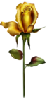 Yellow Rose Bud PNG Clipart