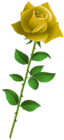 Yellow Rose Cartoon Style PNG Clipart