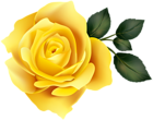 Yellow Rose Clip Art Image