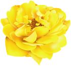 Yellow Rose Clipart Image