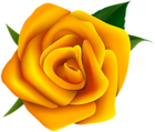 Yellow Rose Clipart PNG Image