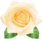 Yellow Rose PNG Clip Art Image