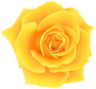 Yellow Rose PNG Clip Art Image