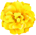 Yellow Rose PNG Clipart Image