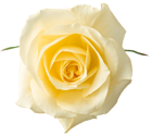 Yellow Rose PNG Clipart Picture