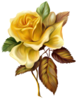Yellow Rose Painted Picture Clipart