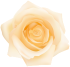Yellow Rose Transparent Clip Art