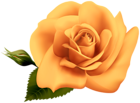 Yellow Rose Transparent Clipart Image