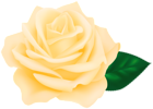 Yellow Rose Transparent PNG Clipart
