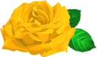 Yellow Rose with Leaves PNG Clipart