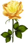 Yellow Rose with Stem PNG Clip Art | Gallery Yopriceville - High ...