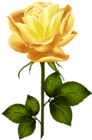 Yellow Rose with Stem PNG Clip Art