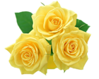 Yellow Roses PNG Clipart