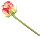 Yellow and Red Rose Bud PNG Clipart Image