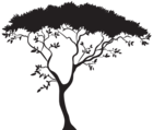 African Tree Silhouette PNG Clip Art