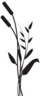 Bulrush Silhouette PNG Transparent Clip Art Image