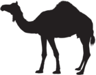 Camel Silhouette Transparent PNG Clip Art