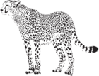 Cheetah Silhouette PNG Transparent Clip Art Image