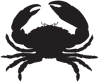 Crab Silhouette PNG Clip Art Image