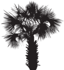 Palm Tree Silhouette Clip Art PNG Image