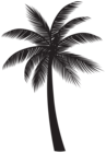 Palm Tree Silhouette PNG Transparent Clipart