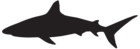 Shark Silhouette PNG Clip Art Image