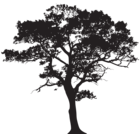 Silhouette Tree PNG Clip Art Image
