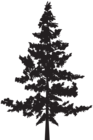 Tree PNG Silhouette Clip Art Image
