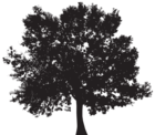Tree Silhouette PNG Clip Art