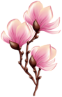 Beautiful Blooming Branch Transparent PNG Clip Art Image