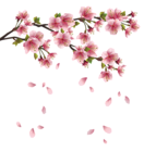 Beautiful Pink Spring Branch with Falling Petals PNG Clipart