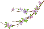 Blooming Branch PNG Clip Art Image