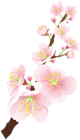 Blooming Spring Branch PNG Clip Art Image