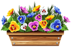 Box with Violets PNG Clipart Picture