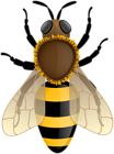 Bumblebee PNG Clipart