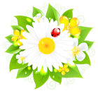 Daisy Decor PNG Picture