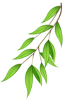 Green Branch PNG Transparent Clip Art Image