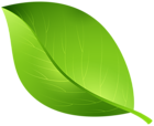 Green Leaf Transparent PNG Clip Art Image