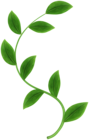 Green Leaves on Stem PNG Clipart