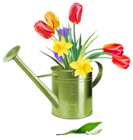 Green Watering Can with Spring Flowers PNG Clipart