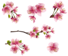 Pink Spring Branch Elements PNG Clipart Picture