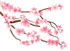 Pink Spring Branch PNG Clipart Image